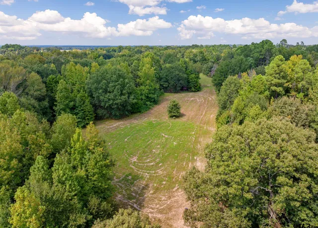 a view of yard with swimming pool and green space