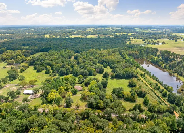 a view of a city with an ocean