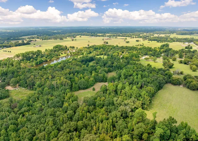 a view of a city with an ocean