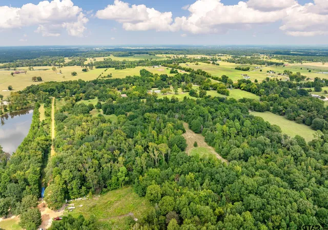 a view of backyard and tree