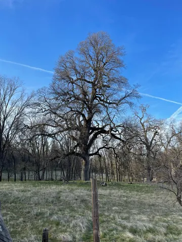 a view of dirt yard with a house