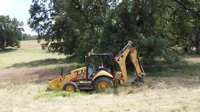 a view of a dry yard with trees