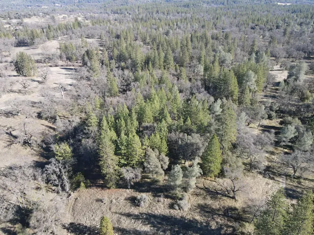 a view of a dry field with green space