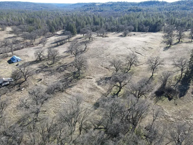 a view of a dry yard with trees