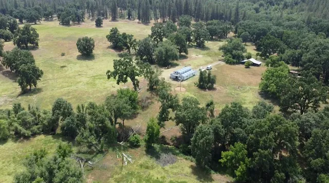 a view of a yard with trees