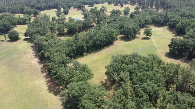a view of a pathway with a yard
