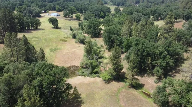 a view of a forest with a houses