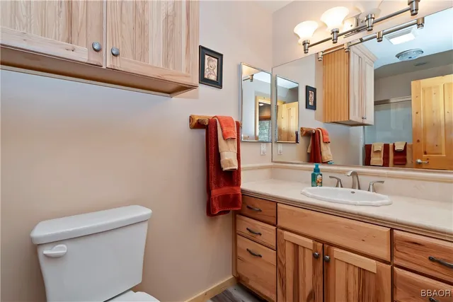 a bathroom with a sink a toilet and mirror
