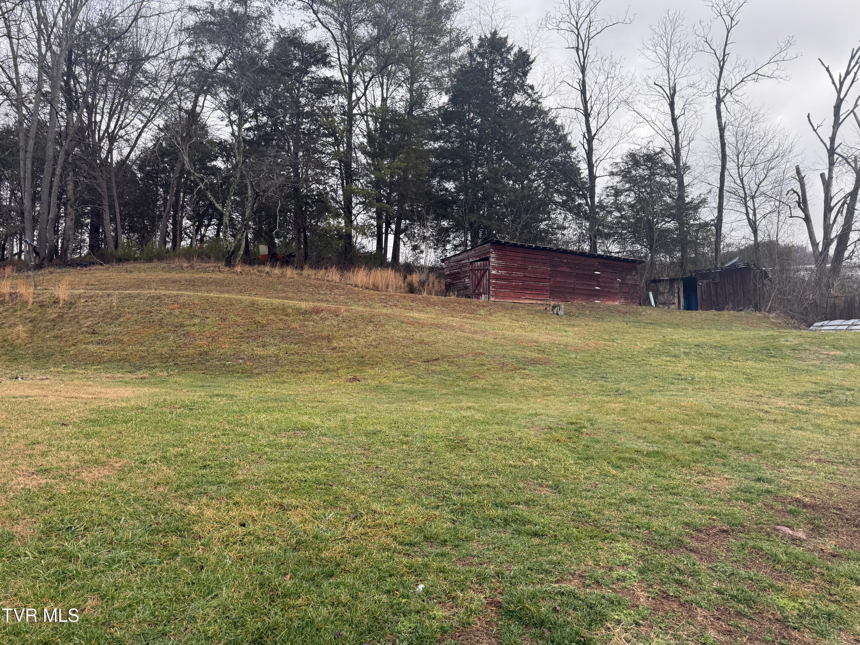 114 Pearl Bowers Road Elizabethton, TN 37643 - Photo 4 of 5 IMG_1907