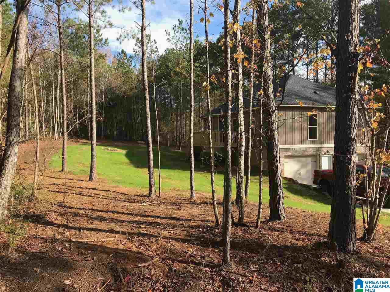 24 Tyler Road Remlap, AL 35133 - Photo 47 of 48 Gallery Image 47