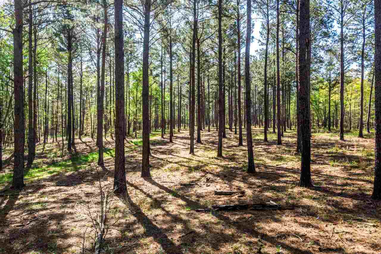 828 Maynards Mill Road Forsyth, GA 31029 - Photo 1 of 1 Upland Pines
