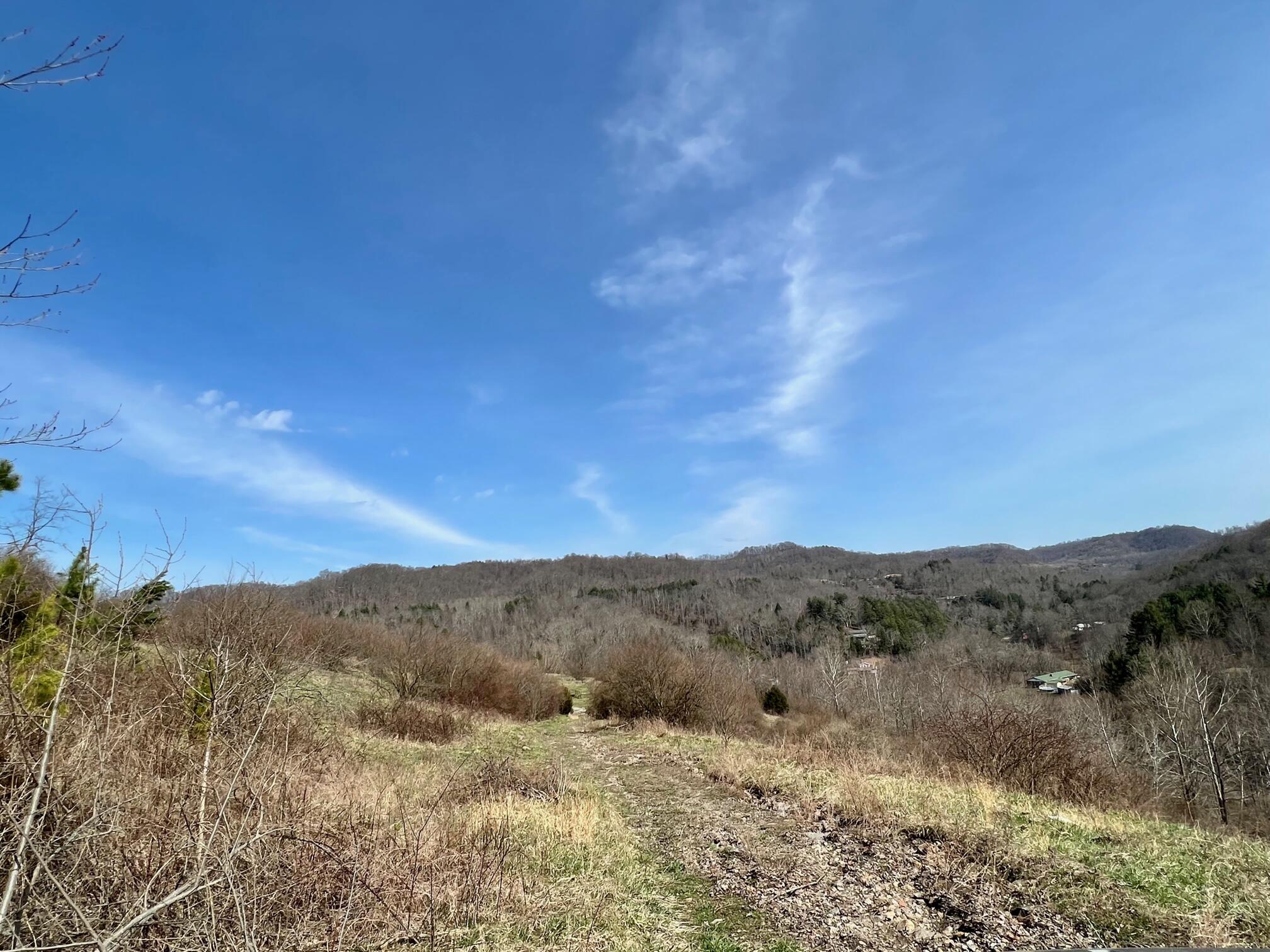 Tbd Creekside Road Pound, VA 24279 - Photo 2 of 59 2