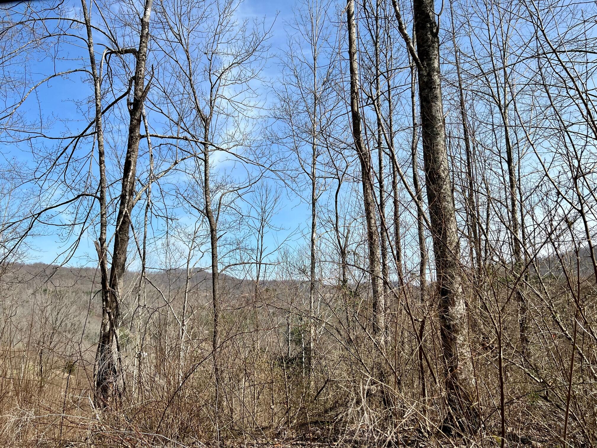 Tbd Creekside Road Pound, VA 24279 - Photo 3 of 59 3