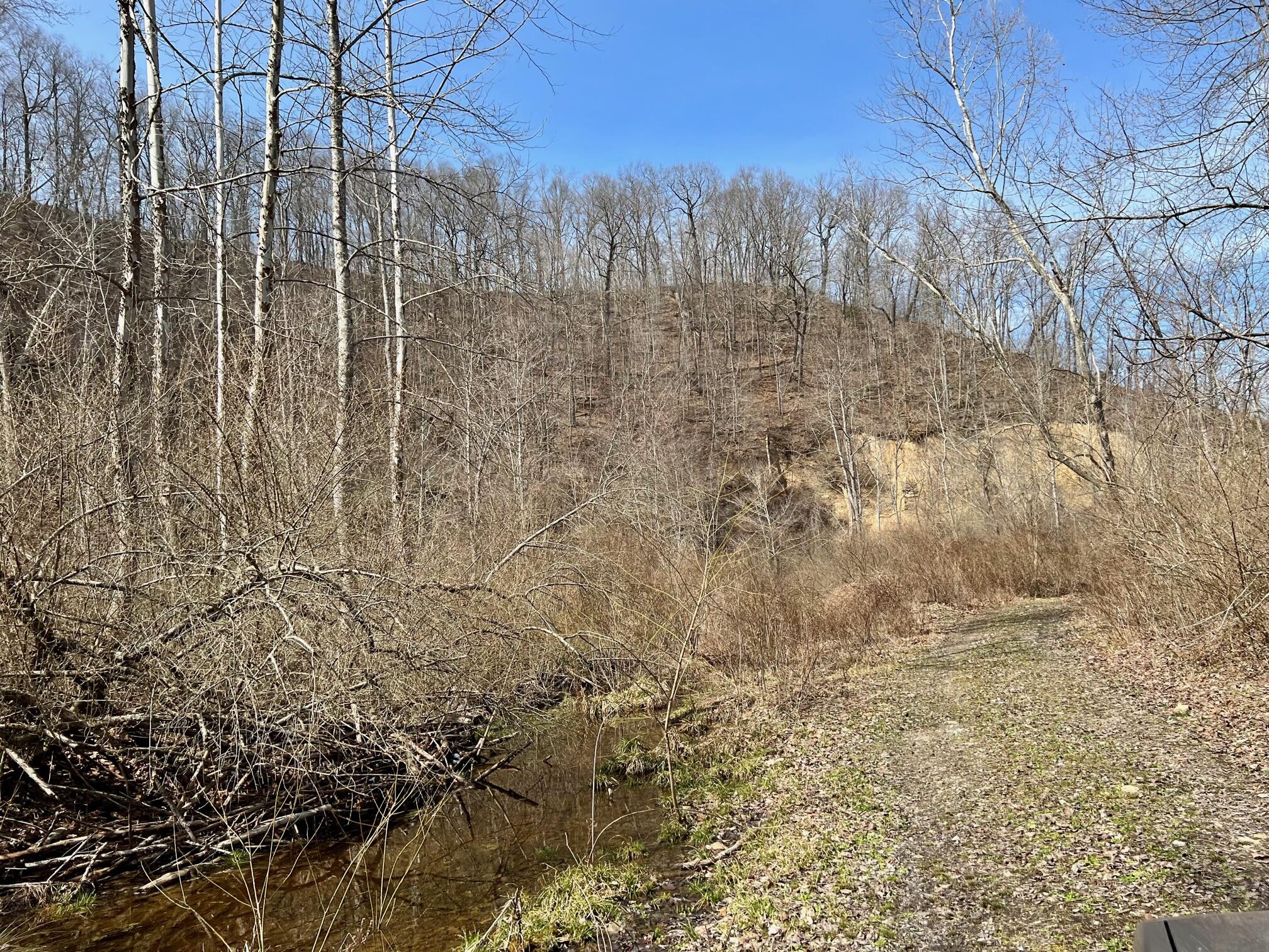 Tbd Creekside Road Pound, VA 24279 - Photo 4 of 59 4