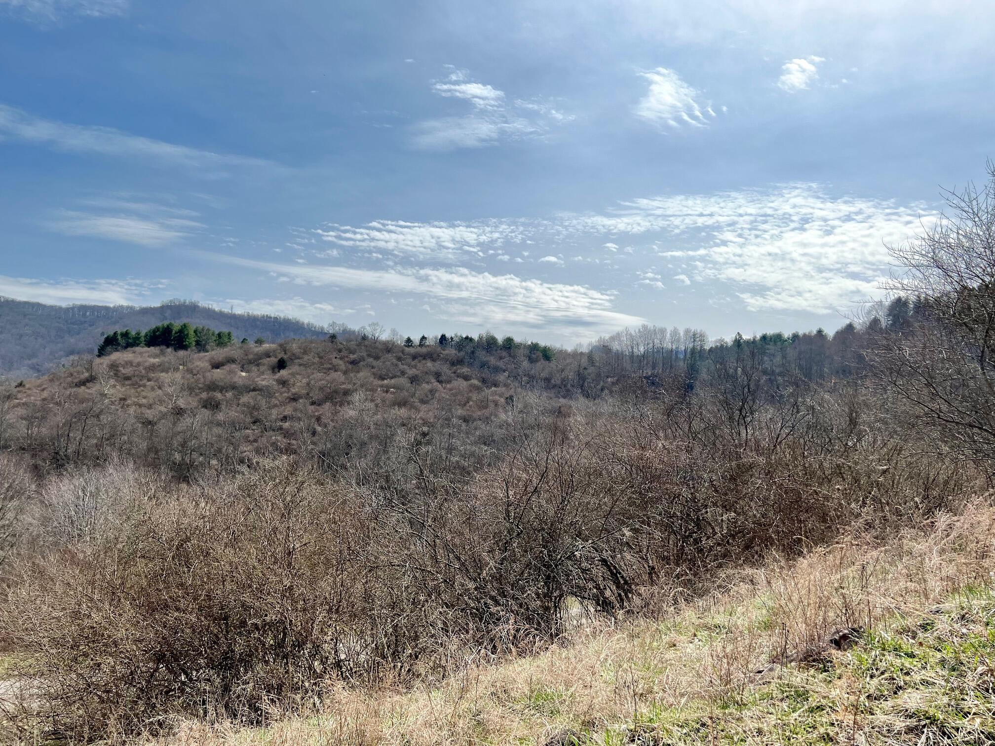 Tbd Creekside Road Pound, VA 24279 - Photo 45 of 59 34