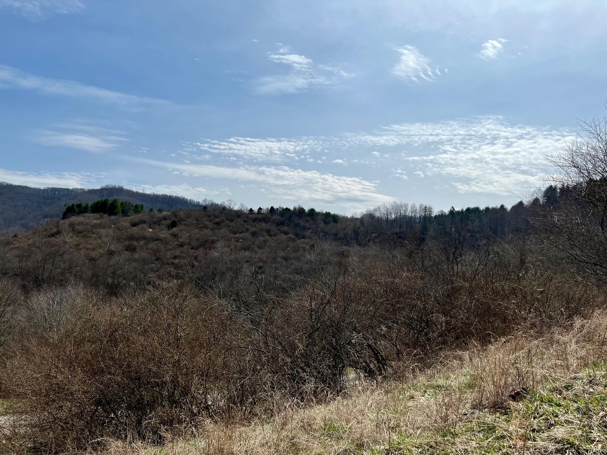 Tbd Creekside Road Pound, VA 24279 - Photo 46 of 59 35
