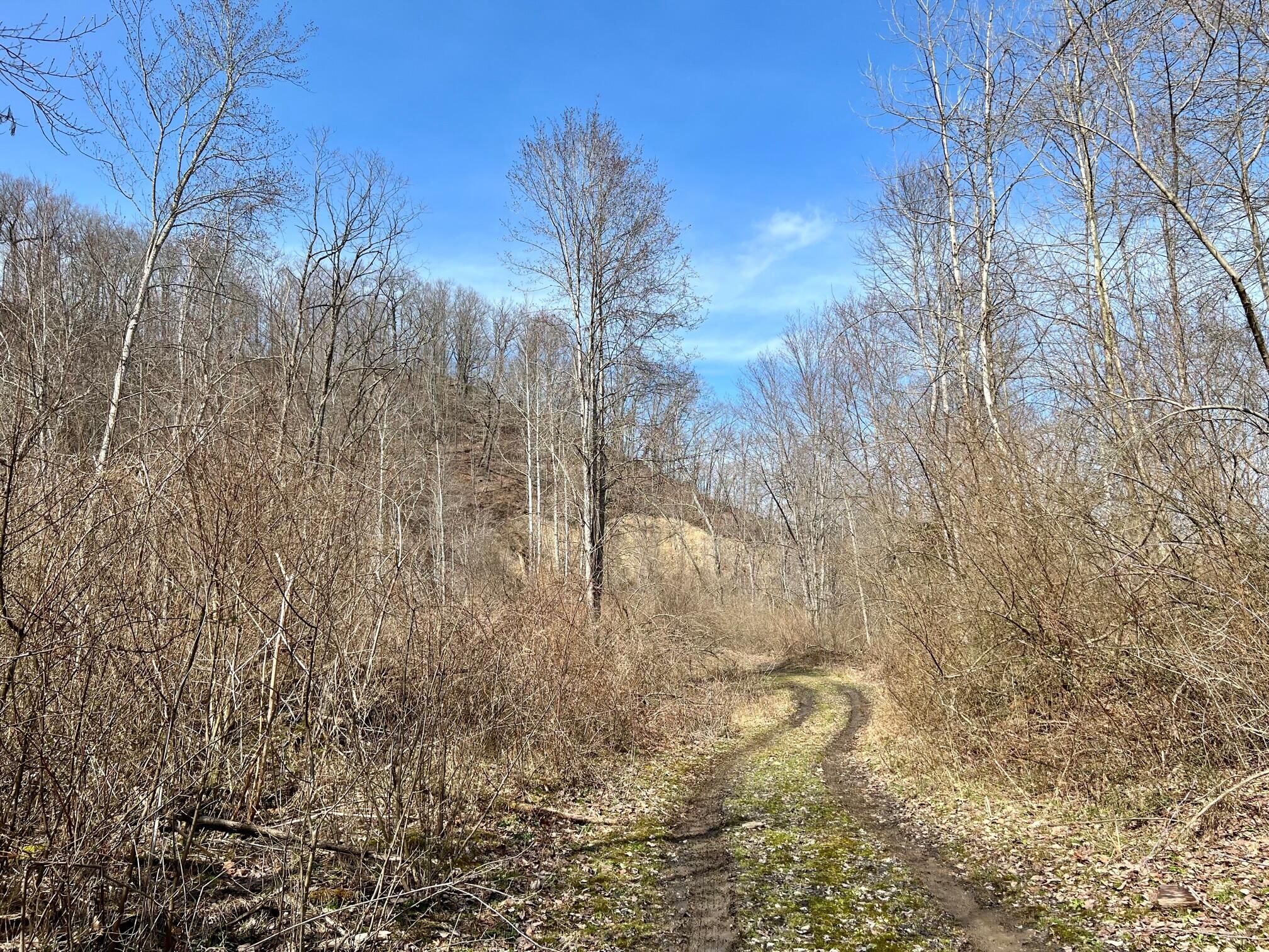Tbd Creekside Road Pound, VA 24279 - Photo 5 of 59 5