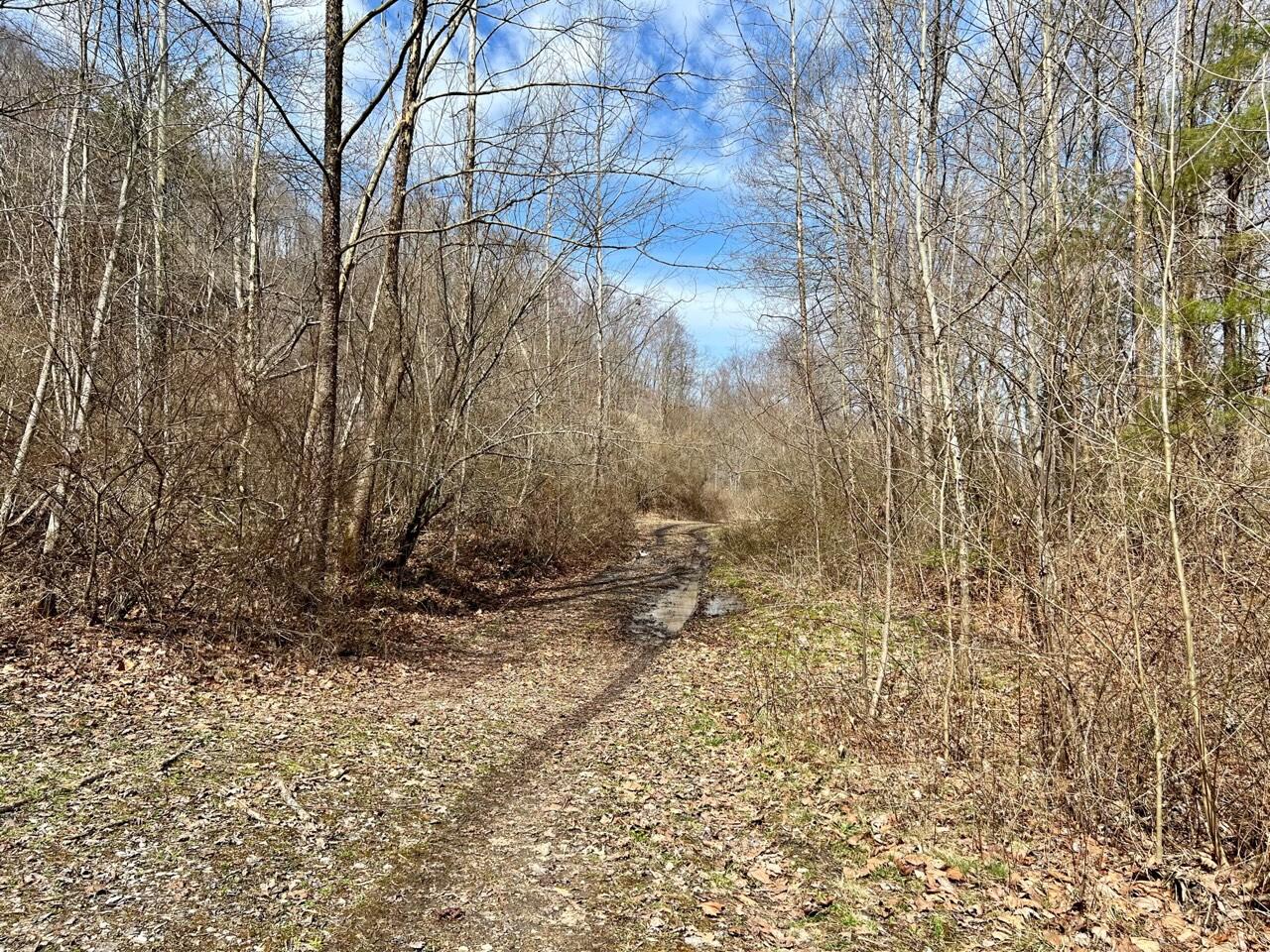 Tbd Creekside Road Pound, VA 24279 - Photo 58 of 59 50