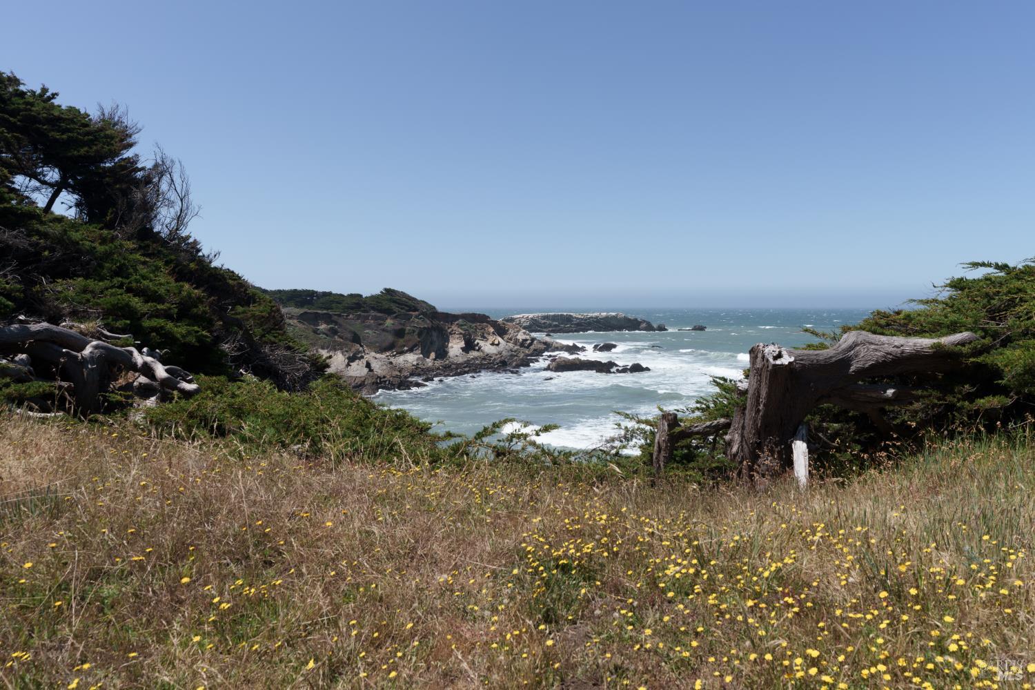 256 Ballast Road The Sea Ranch, CA 95497 - Photo 65 of 66