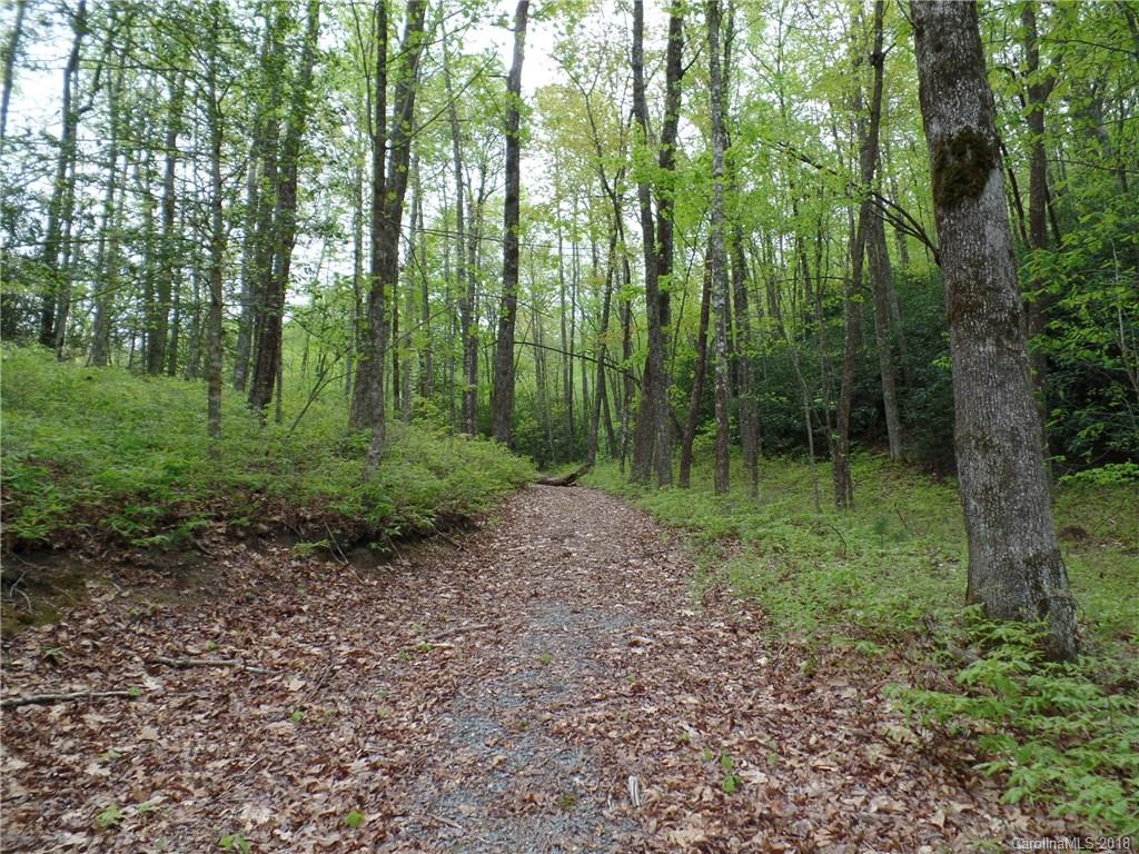 Tbd Big Branch Road, Unit LOT 56A Brevard, NC 28712 - Photo 1 of 25 Gallery Image 1