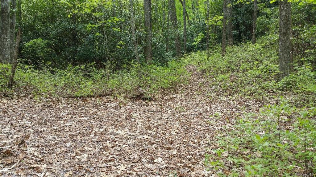 Tbd Big Branch Road, Unit LOT 56A Brevard, NC 28712 - Photo 2 of 25 Gallery Image 2