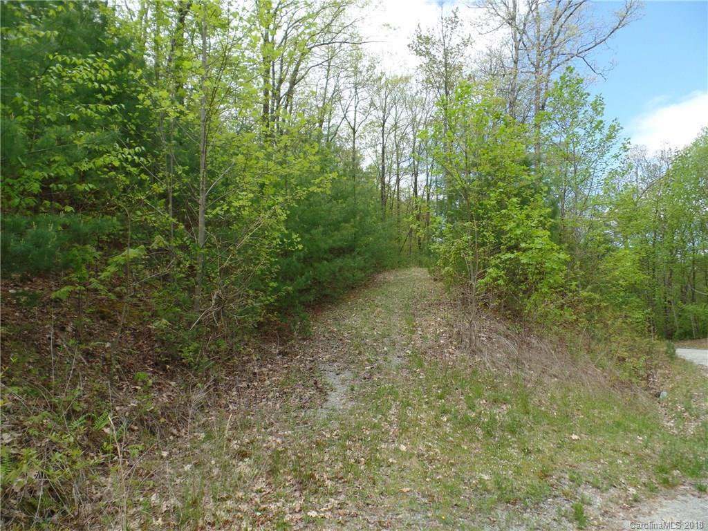 Tbd Big Branch Road, Unit LOT 56A Brevard, NC 28712 - Photo 11 of 25 Gallery Image 11
