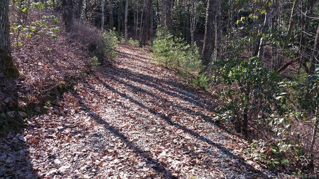 Tbd Big Branch Road, Unit LOT 56A Brevard, NC 28712 - Photo 13 of 25 Gallery Image 13