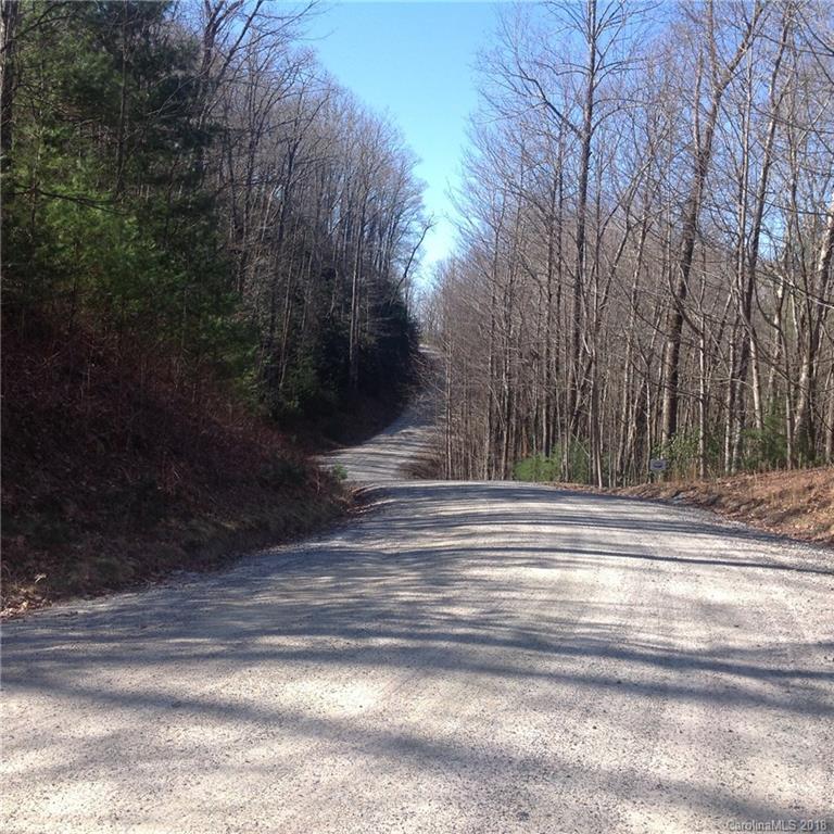 Tbd Big Branch Road, Unit LOT 56A Brevard, NC 28712 - Photo 14 of 25 Gallery Image 14