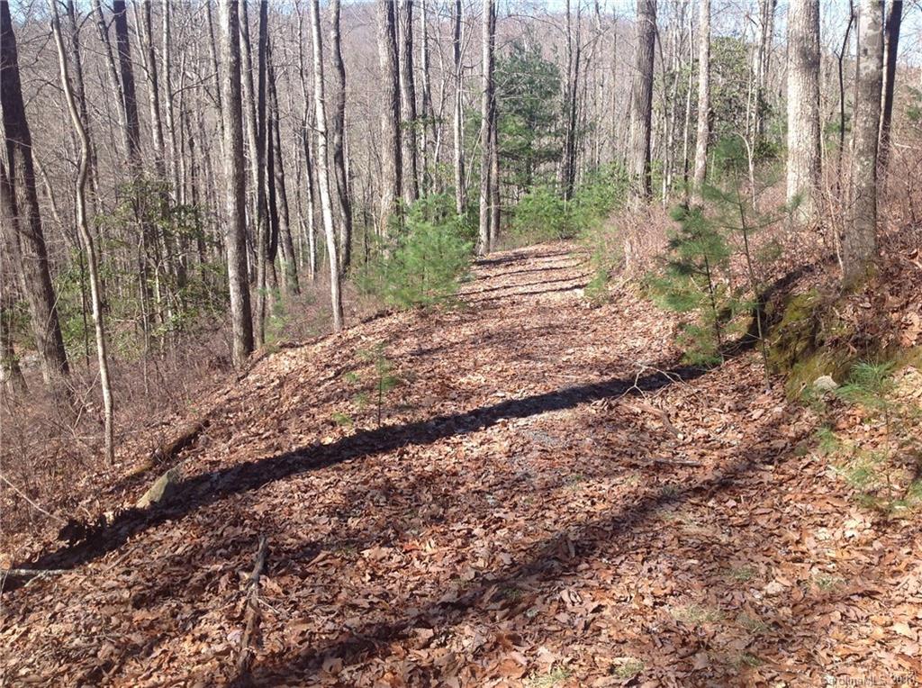 Tbd Big Branch Road, Unit LOT 56A Brevard, NC 28712 - Photo 15 of 25 Gallery Image 15