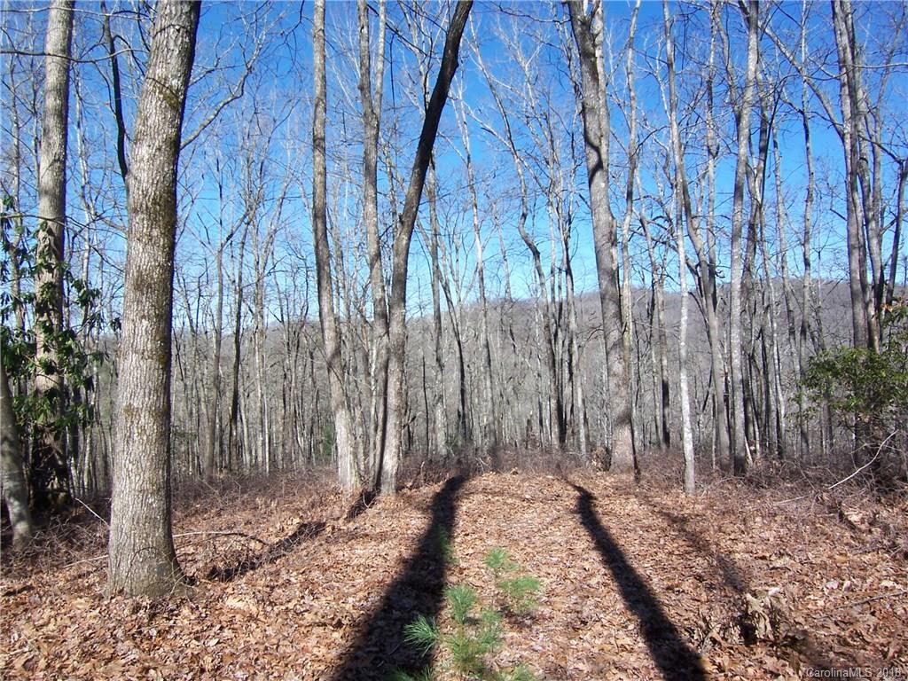 Tbd Big Branch Road, Unit LOT 56A Brevard, NC 28712 - Photo 16 of 25 Gallery Image 16