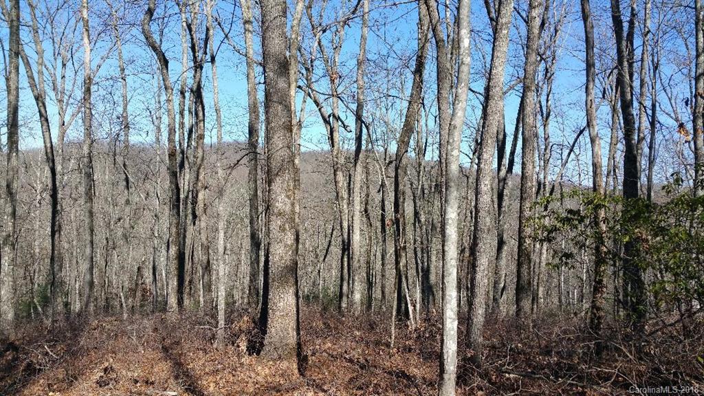 Tbd Big Branch Road, Unit LOT 56A Brevard, NC 28712 - Photo 17 of 25 Gallery Image 17
