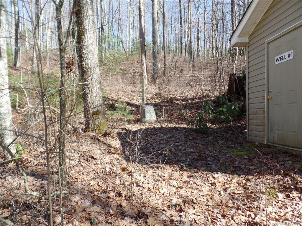 Tbd Big Branch Road, Unit LOT 56A Brevard, NC 28712 - Photo 18 of 25 Gallery Image 18