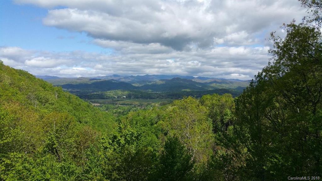 Tbd Big Branch Road, Unit LOT 56A Brevard, NC 28712 - Photo 20 of 25 Gallery Image 20