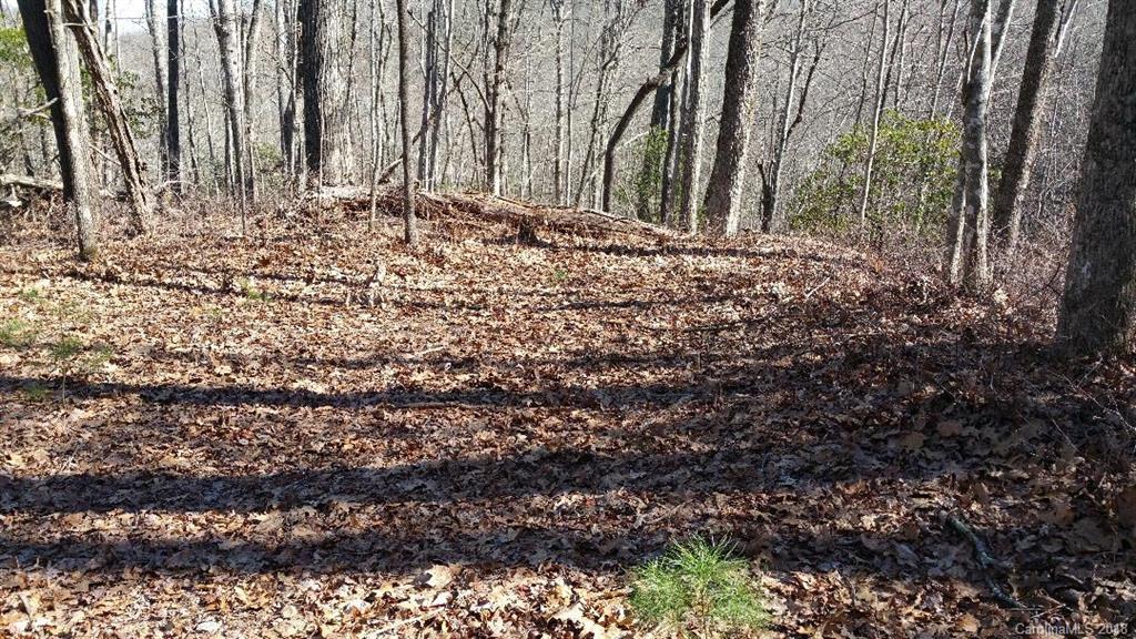 Tbd Big Branch Road, Unit LOT 56A Brevard, NC 28712 - Photo 3 of 25 Gallery Image 3