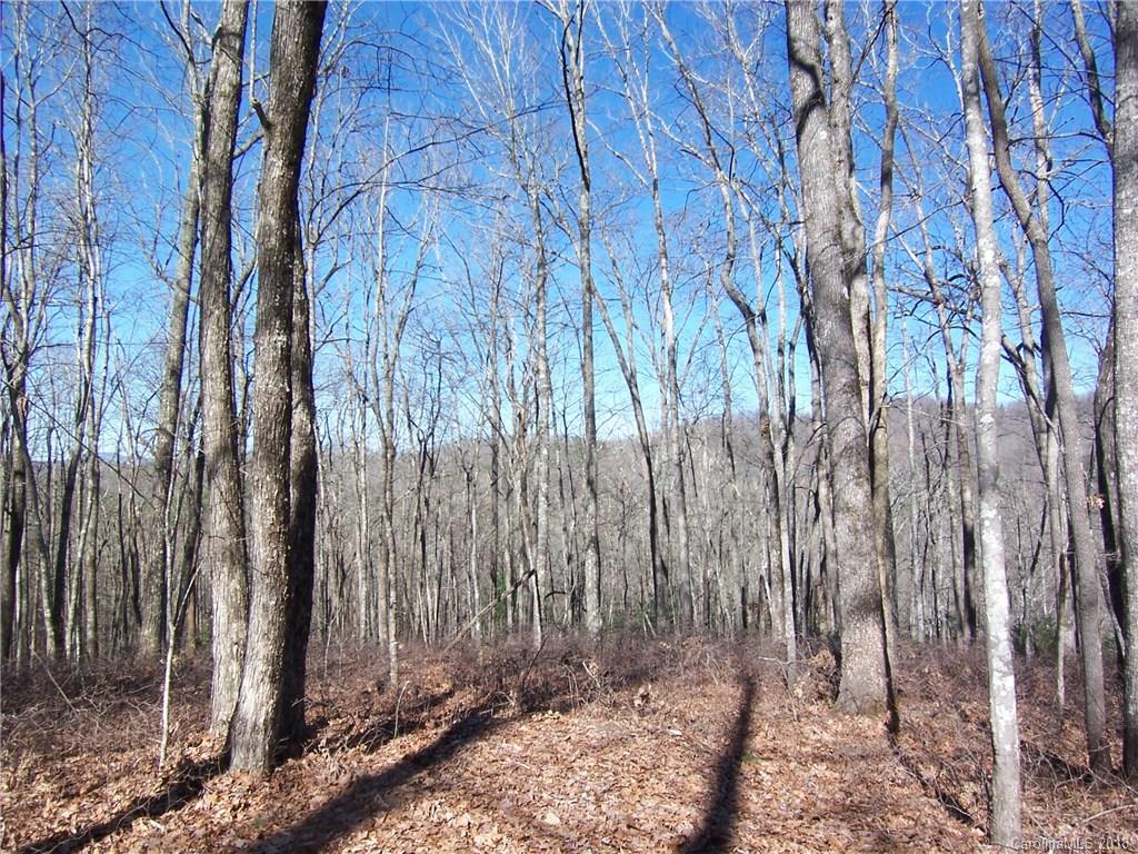 Tbd Big Branch Road, Unit LOT 56A Brevard, NC 28712 - Photo 21 of 25 Gallery Image 21