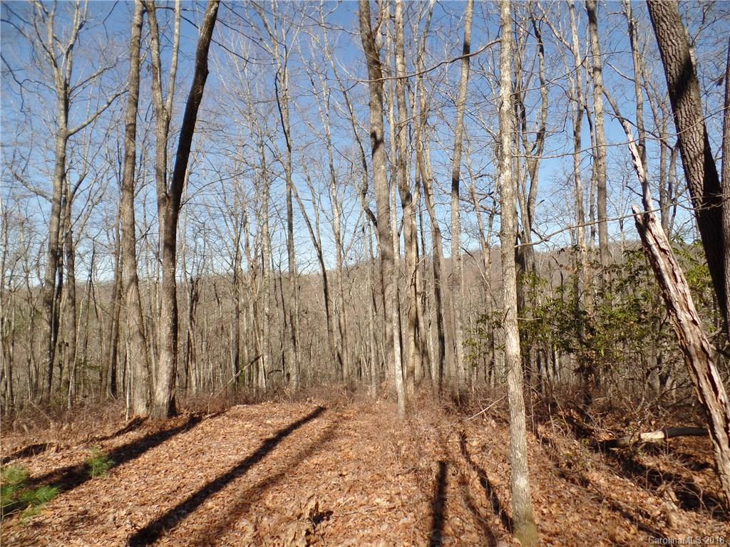 Tbd Big Branch Road, Unit LOT 56A Brevard, NC 28712 - Photo 25 of 25 Gallery Image 25