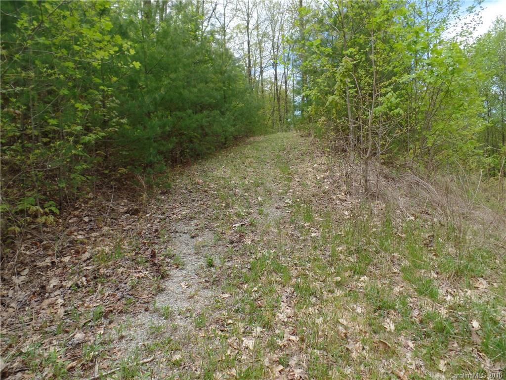 Tbd Big Branch Road, Unit LOT 56A Brevard, NC 28712 - Photo 4 of 25 Gallery Image 4