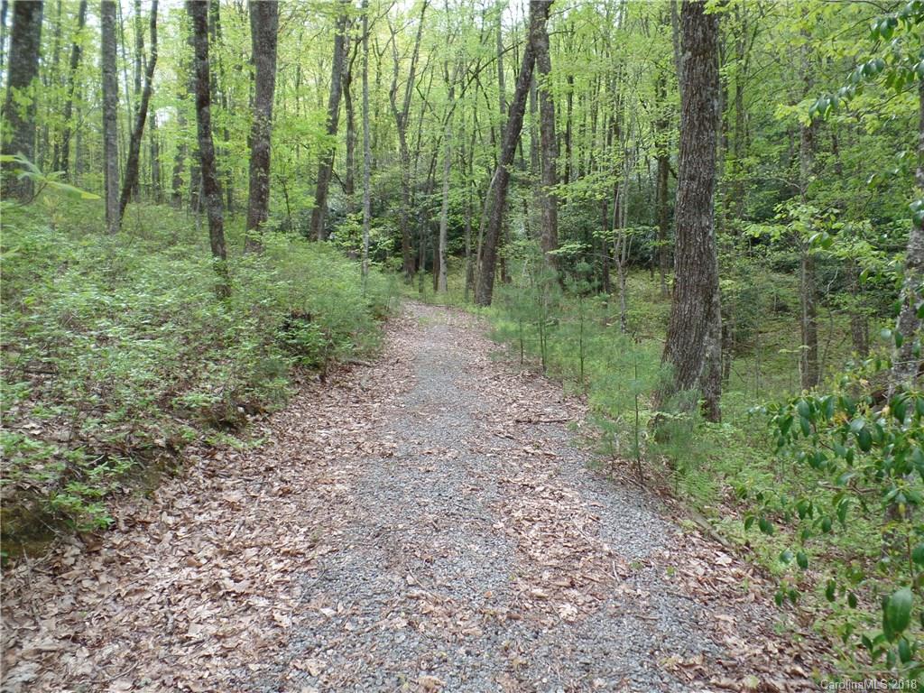 Tbd Big Branch Road, Unit LOT 56A Brevard, NC 28712 - Photo 5 of 25 Gallery Image 5