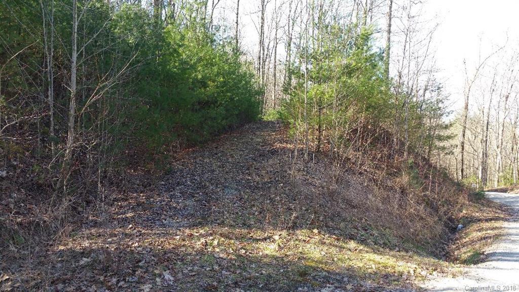 Tbd Big Branch Road, Unit LOT 56A Brevard, NC 28712 - Photo 6 of 25 Gallery Image 6