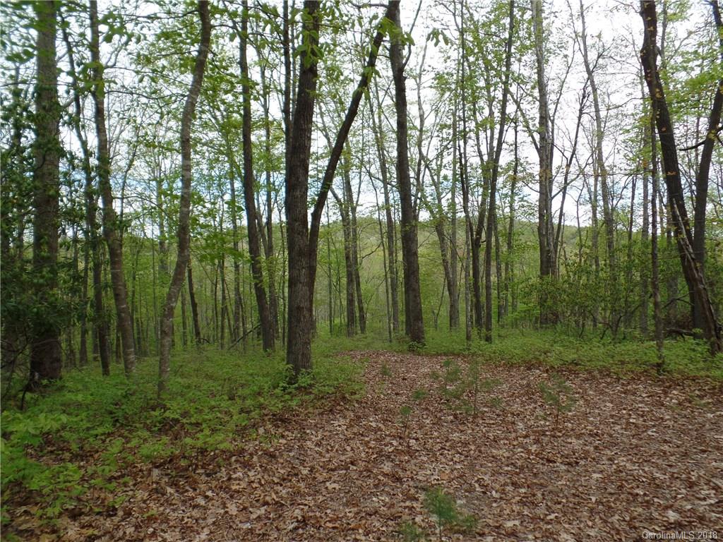 Tbd Big Branch Road, Unit LOT 56A Brevard, NC 28712 - Photo 7 of 25 Gallery Image 7