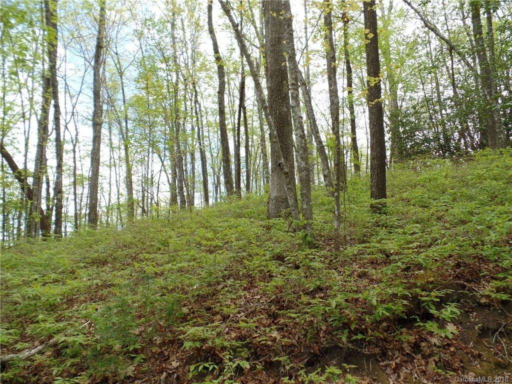 Tbd Big Branch Road, Unit LOT 56A Brevard, NC 28712 - Photo 8 of 25 Gallery Image 8