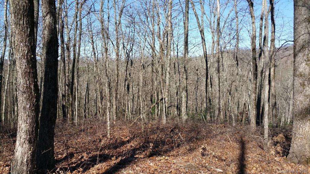 Tbd Big Branch Road, Unit LOT 56A Brevard, NC 28712 - Photo 9 of 25 Gallery Image 9