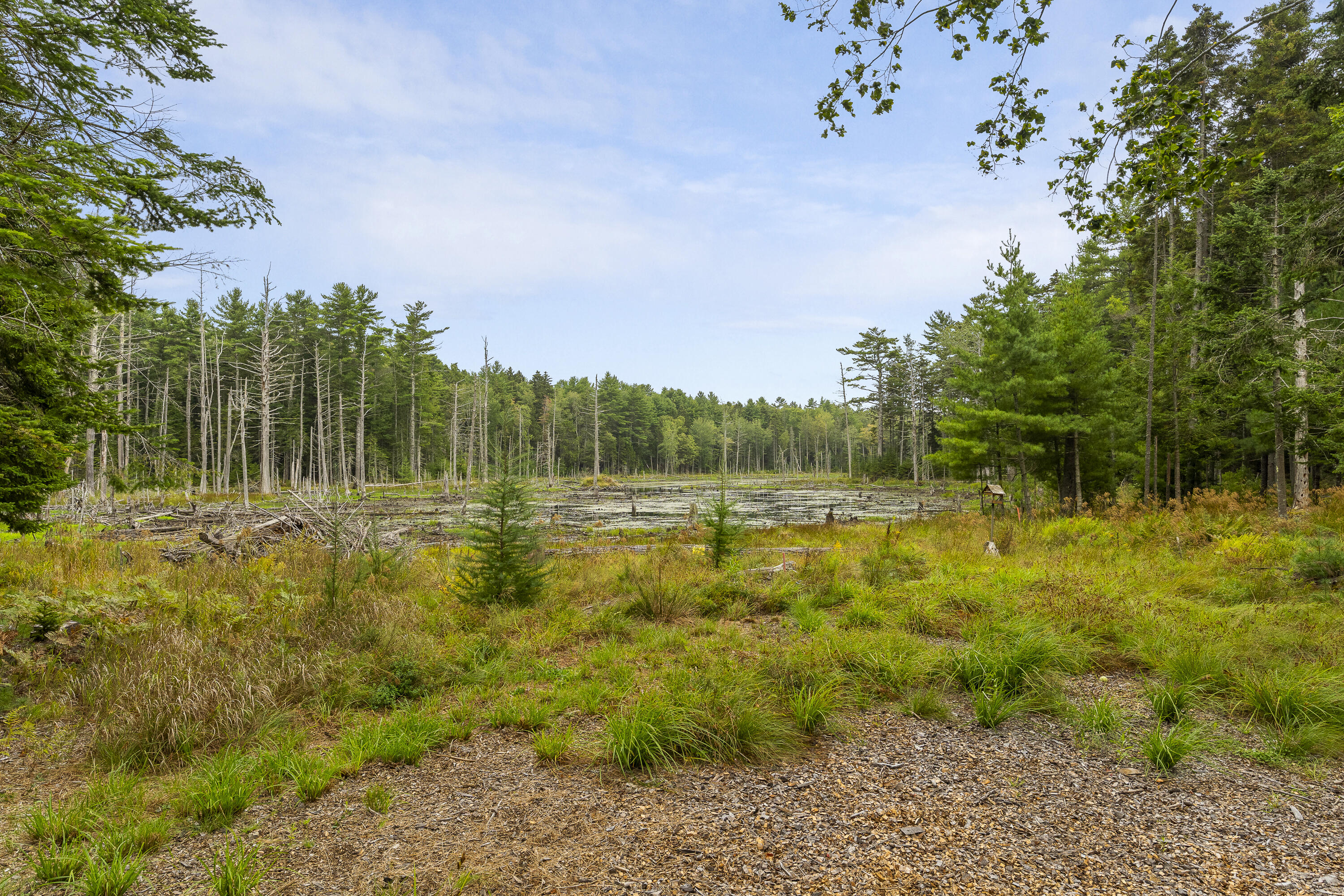27 Doggett Road Westport Island, ME 04578 - Photo 66 of 71 66-27 Doggett Rd, Westport Island, ME-TP