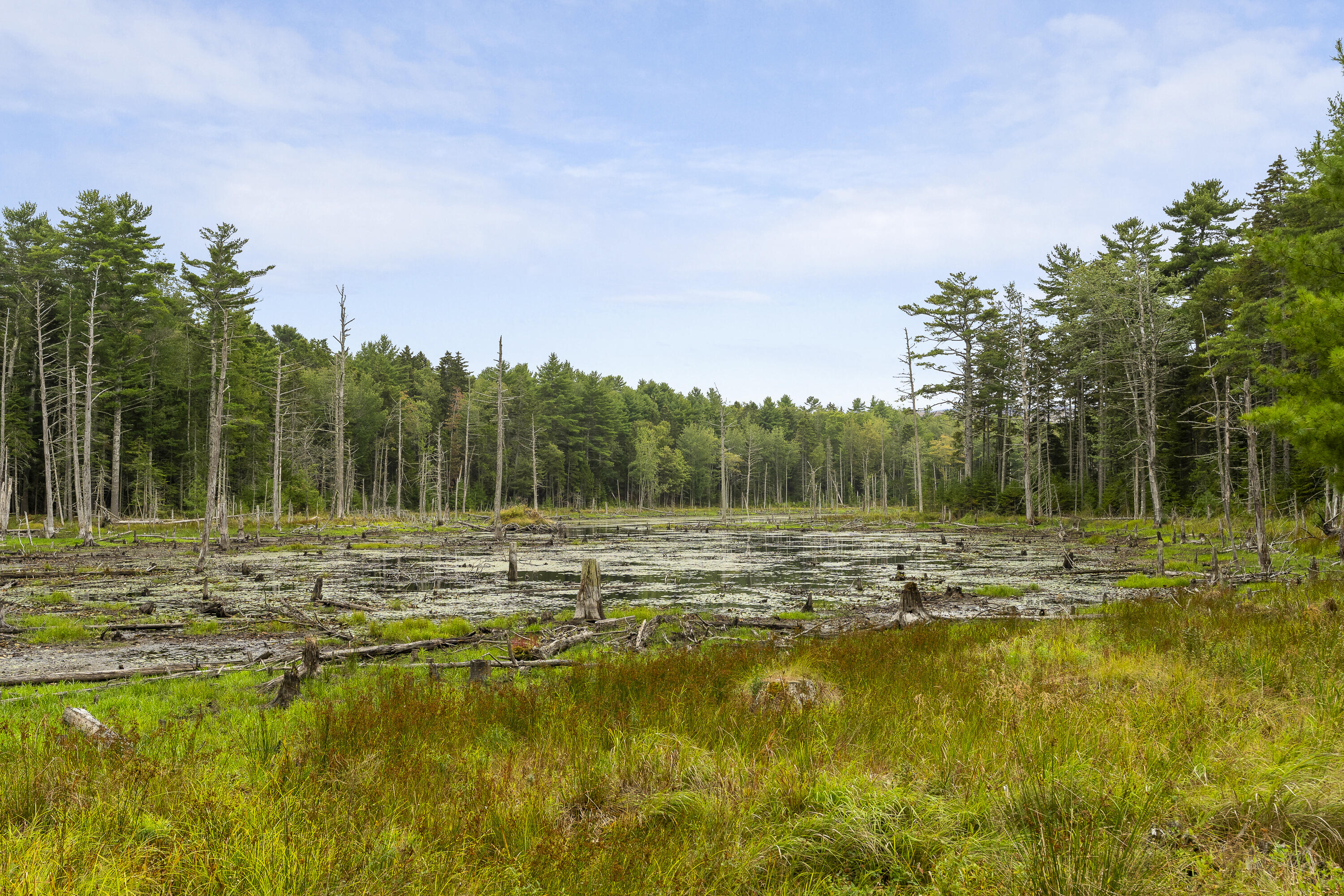 27 Doggett Road Westport Island, ME 04578 - Photo 67 of 71 67-27 Doggett Rd, Westport Island, ME-TP