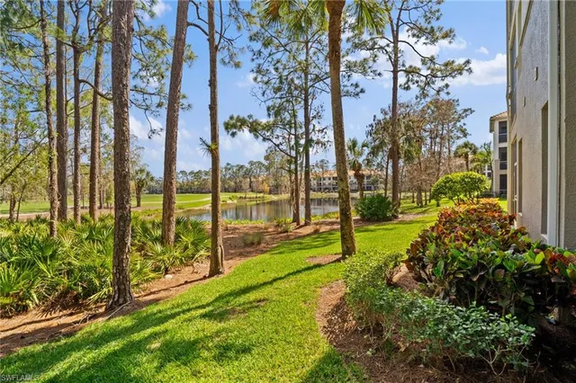 a view of a park with large trees