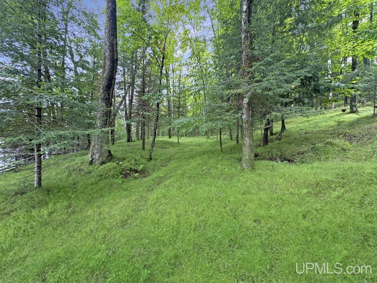 252 Bara Road Crystal Falls, MI 49920 - Photo 35 of 39