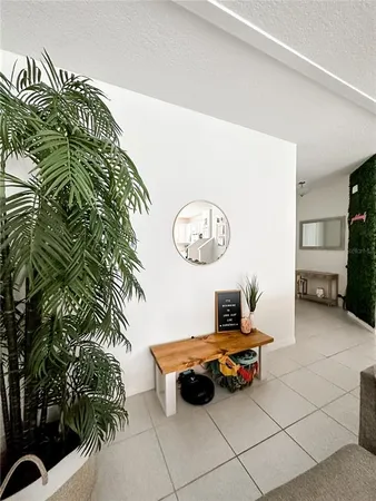 a living room with a couch and a potted plant