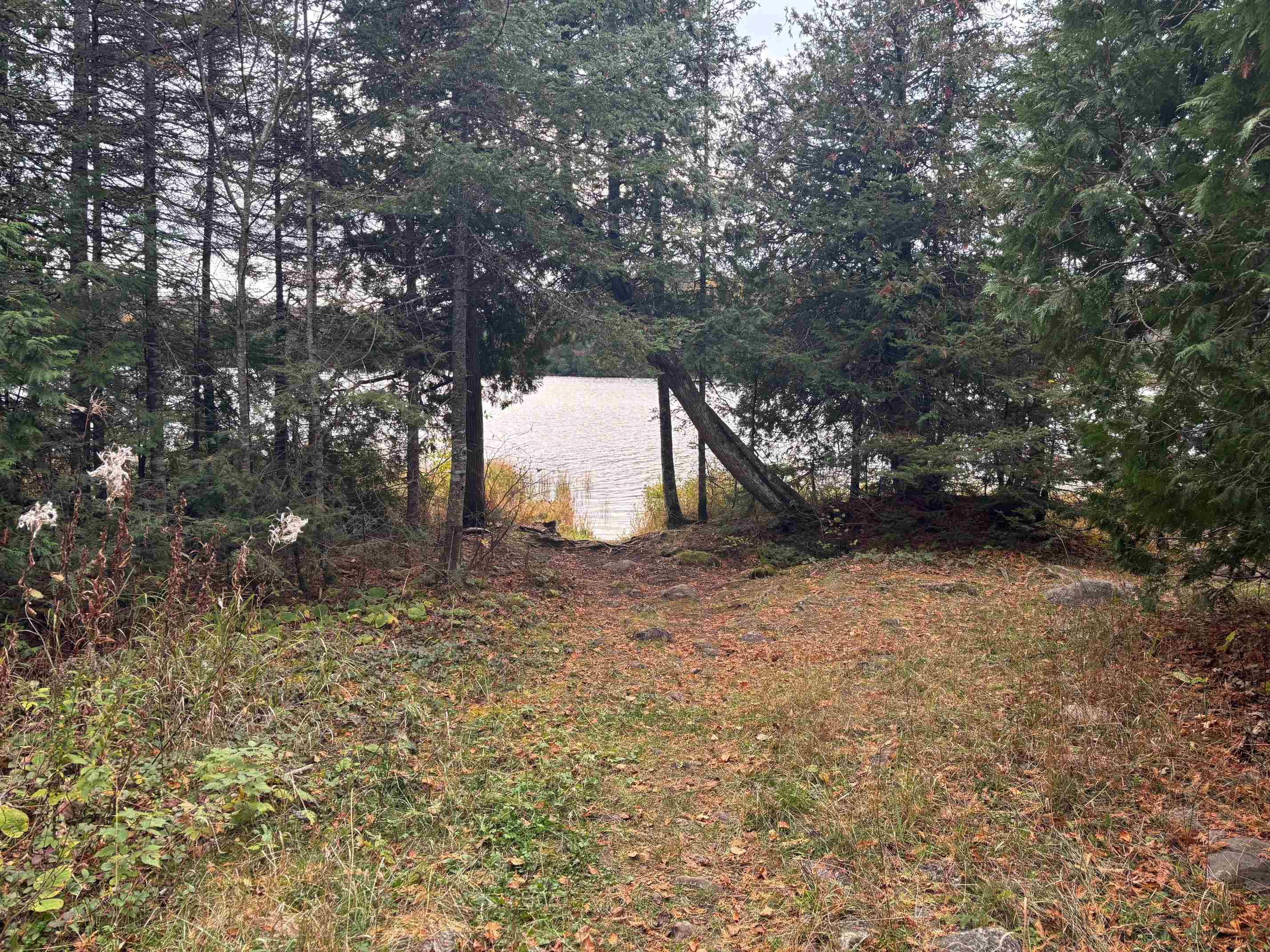 Xx West Deeryard Lake Road Lutsen, MN 55612 - Photo 12 of 12 Ward Lake Public Access