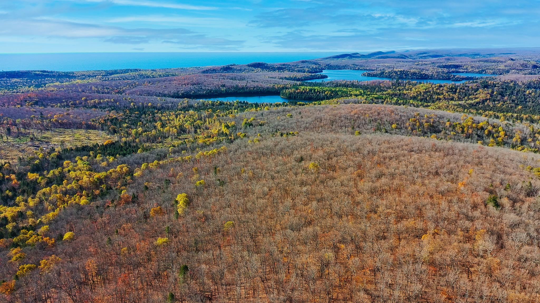 Xx West Deeryard Lake Road Lutsen, MN 55612 - Photo 3 of 12