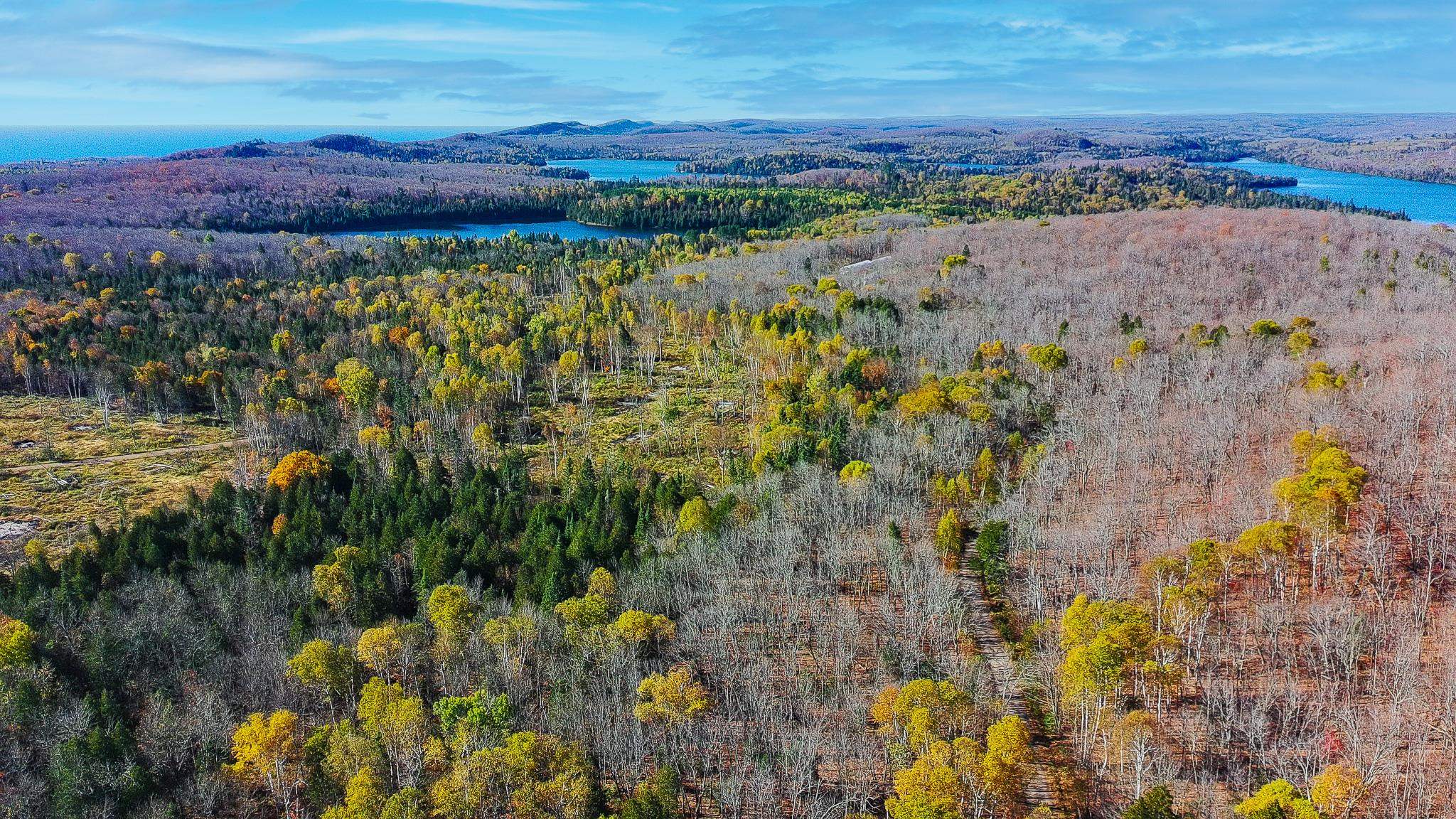 Xx West Deeryard Lake Road Lutsen, MN 55612 - Photo 5 of 12